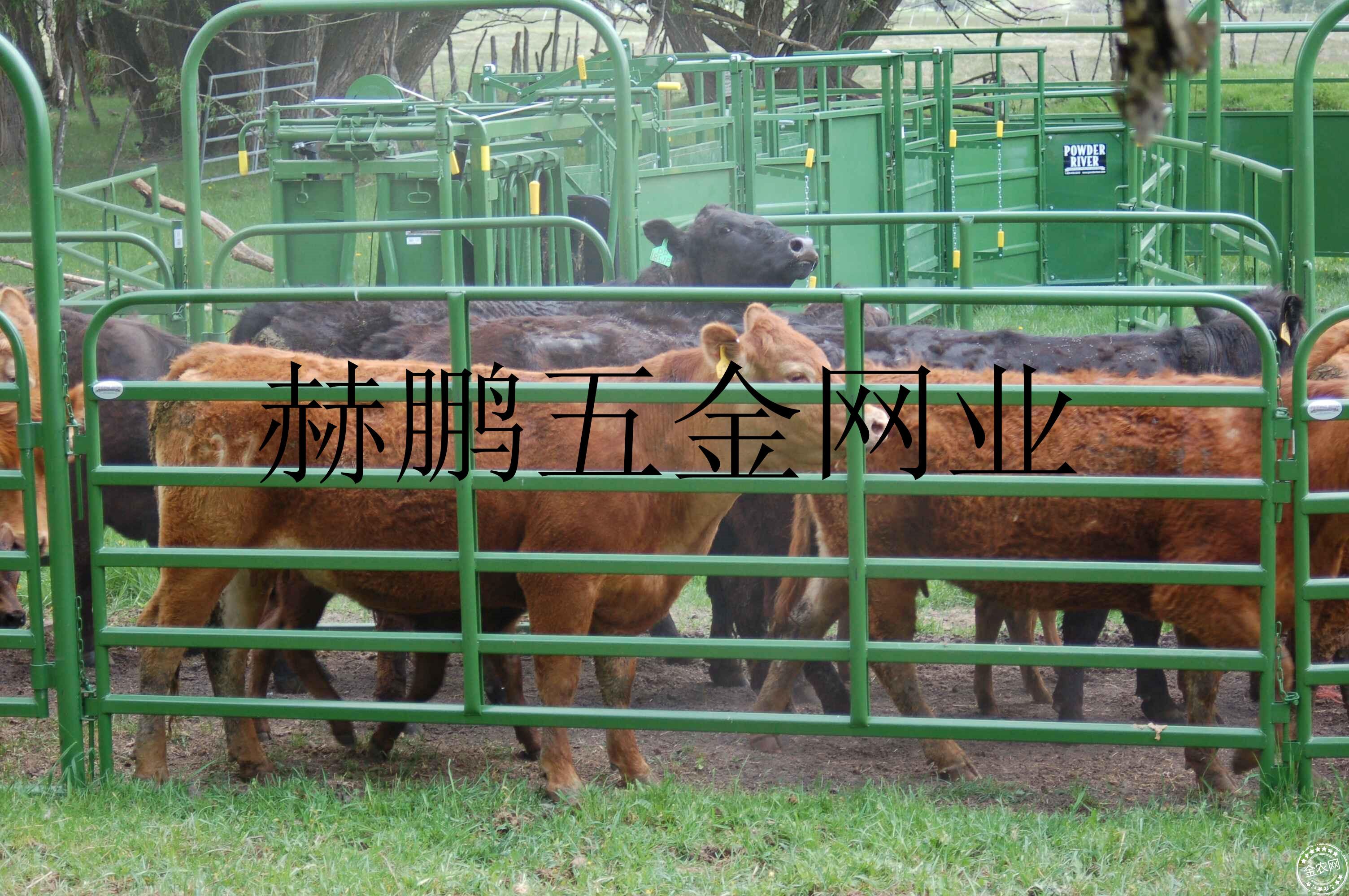 出口方管焊接牛圈围栏1.8米高牲畜围栏门羊圈栅栏 椭圆牛栏防护网-阿里巴巴